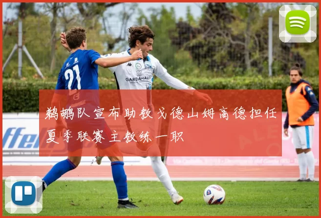 鹈鹕队宣布助教戈德山姆高德担任夏季联赛主教练一职